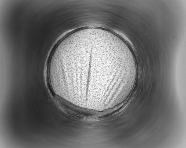 X0000087641040200705311323