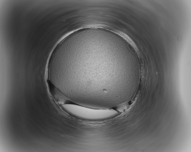 X0000087641044200705311323