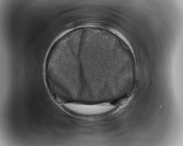 X0000087641045200705311323