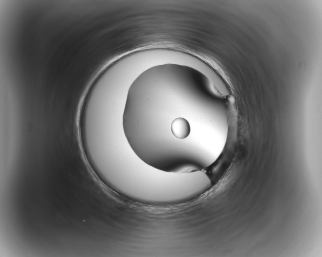 X0000087641046200705311323