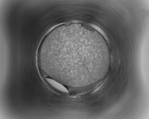 X0000087641047200705311323