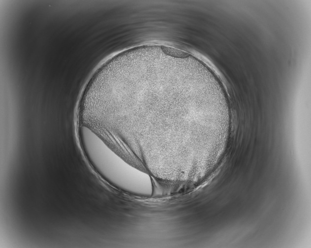 X0000087641048200705311323