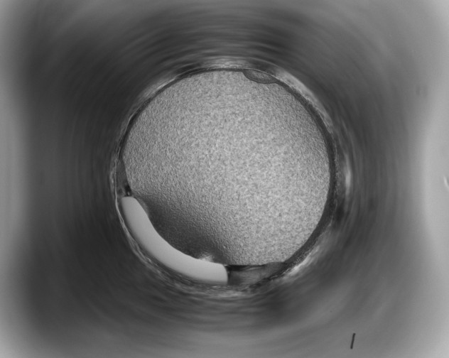 X0000087641049200705311323