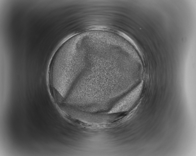 X0000087641050200705311323