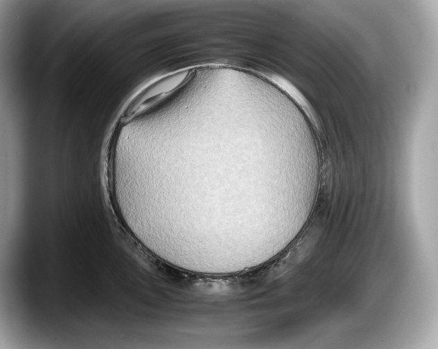 X0000087641051200705311323