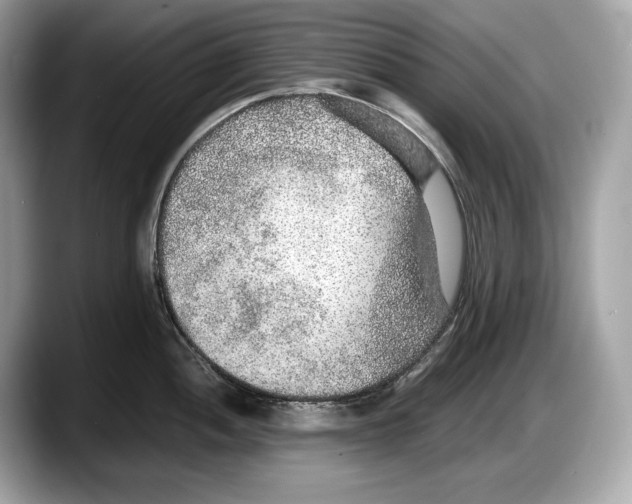 X0000087641052200705311323