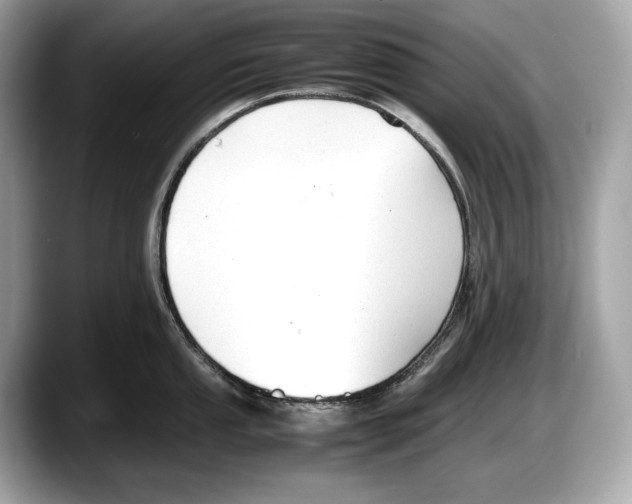 X0000087641053200705311323