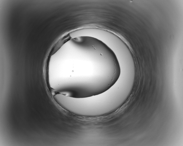 X0000087641054200705311323