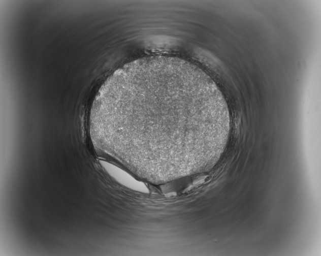 X0000087641060200705311322