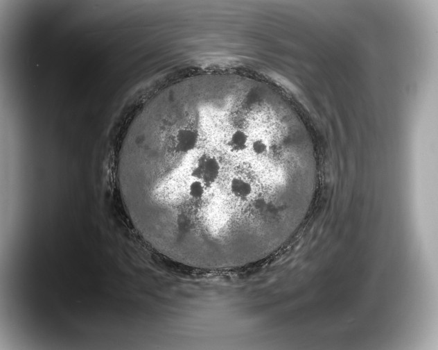 X0000087641063200705311322