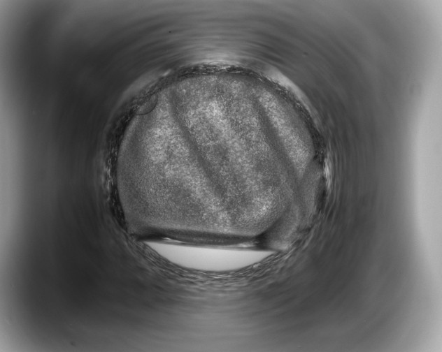 X0000087641064200705311322