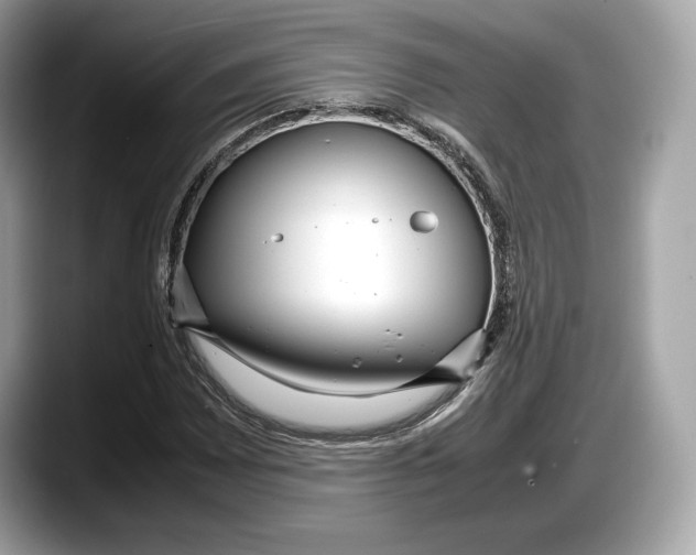 X0000087641065200705311322