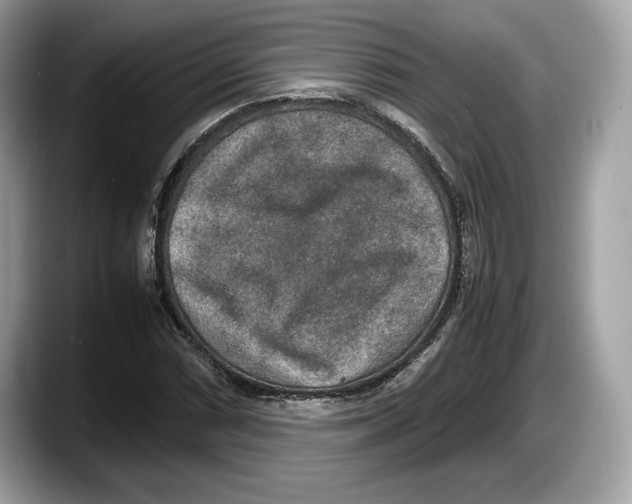 X0000087641066200705311322