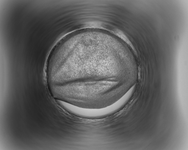 X0000087641068200705311322