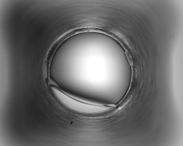 X0000087641069200705311322