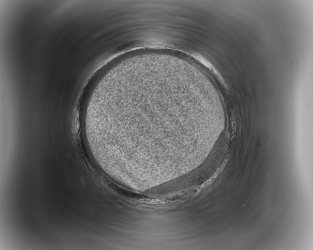 X0000087641070200705311322