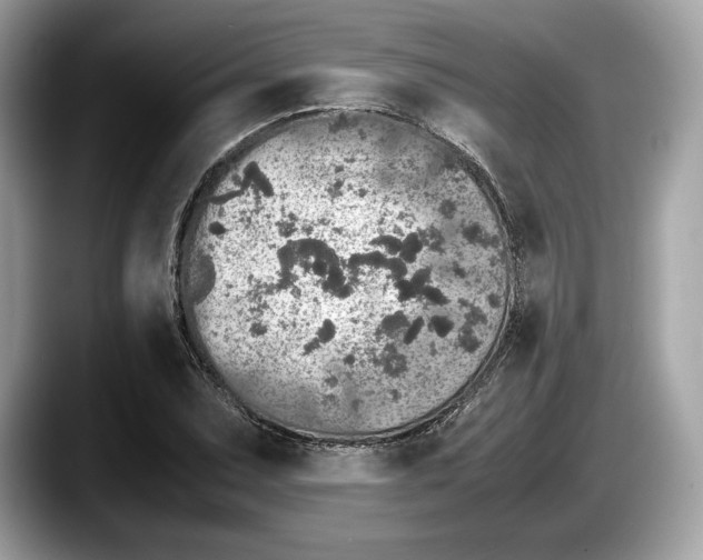 X0000087641071200705311322