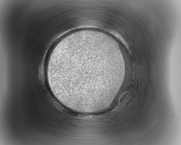 X0000087641072200705311322