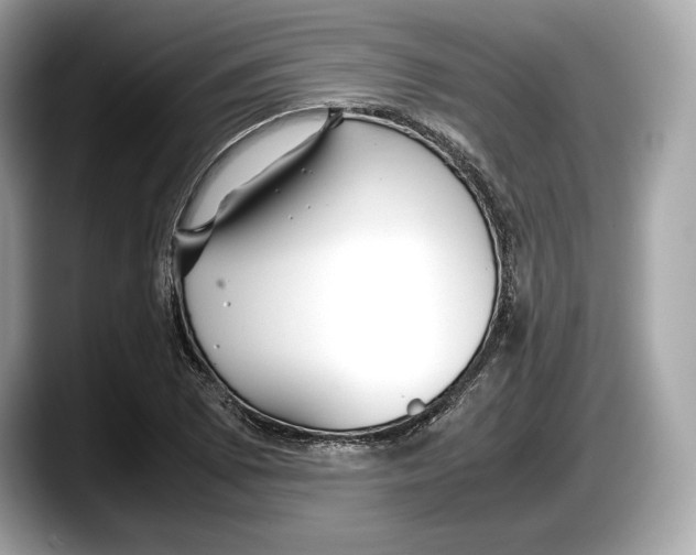 X0000087641073200705311322