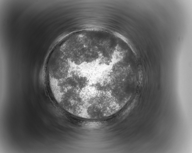 X0000087641074200705311322