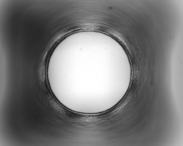 X0000087641075200705311322