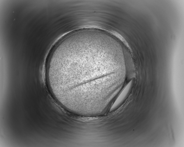 X0000087641076200705311322