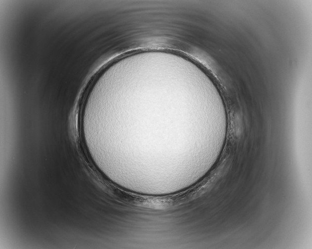 X0000087641078200705311322