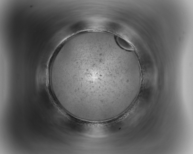 X0000087641079200705311322