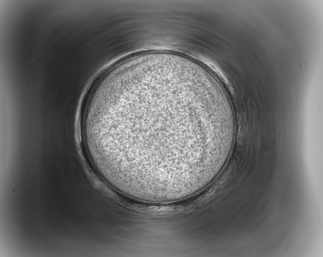 X0000087641080200705311322