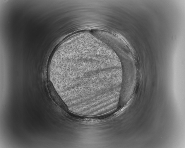 X0000087641081200705311322