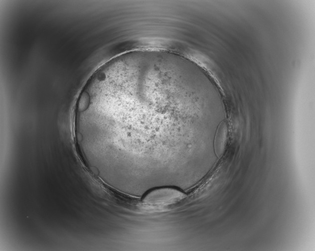 X0000087641083200705311322