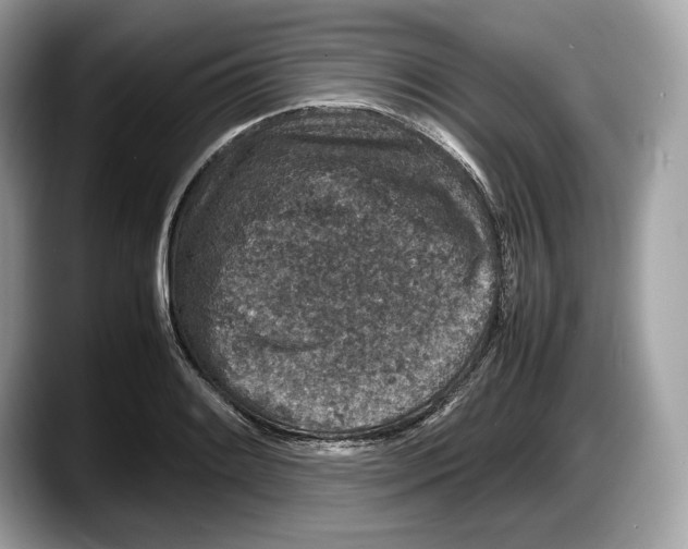 X0000087641084200705311322