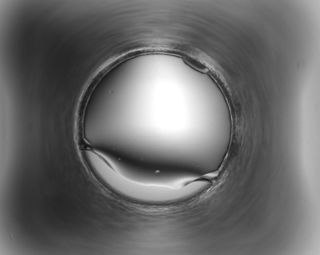 X0000087641085200705311322