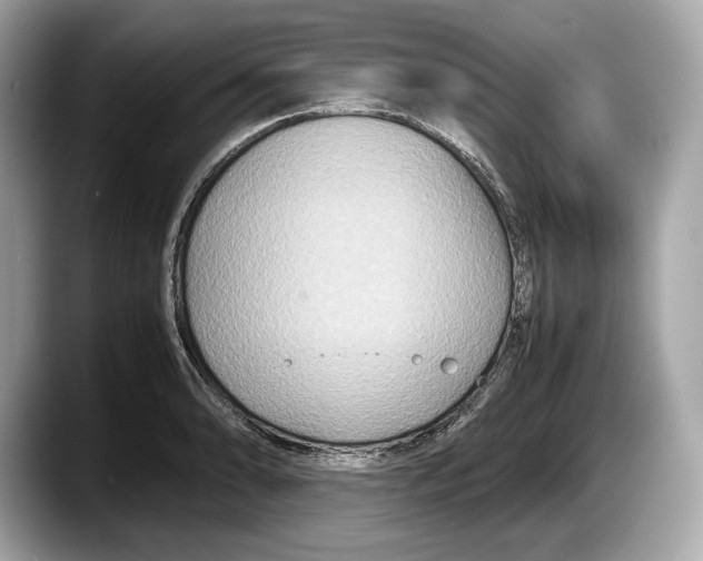 X0000087641086200705311322