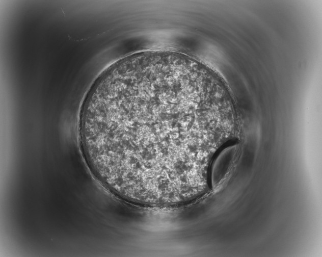 X0000087641087200705311322