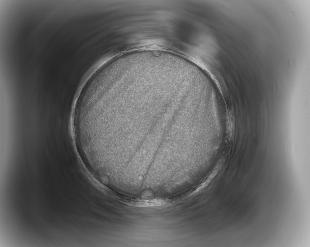 X0000087641090200705311322