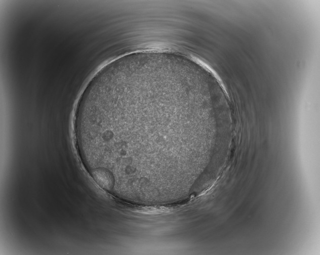 X0000087641091200705311322