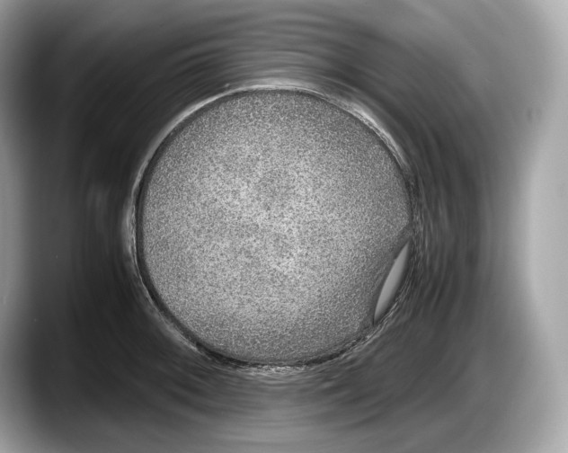 X0000087641092200705311322