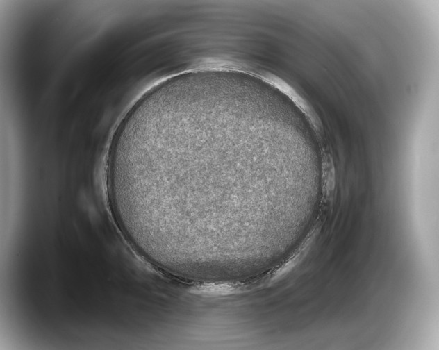 X0000087641094200705311322