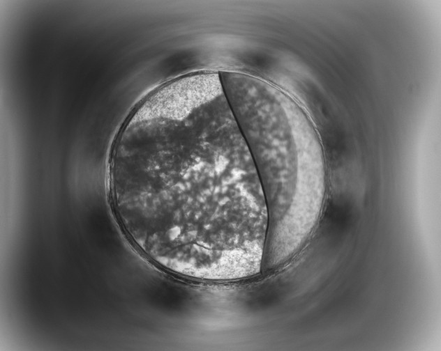 X0000087641095200705311322