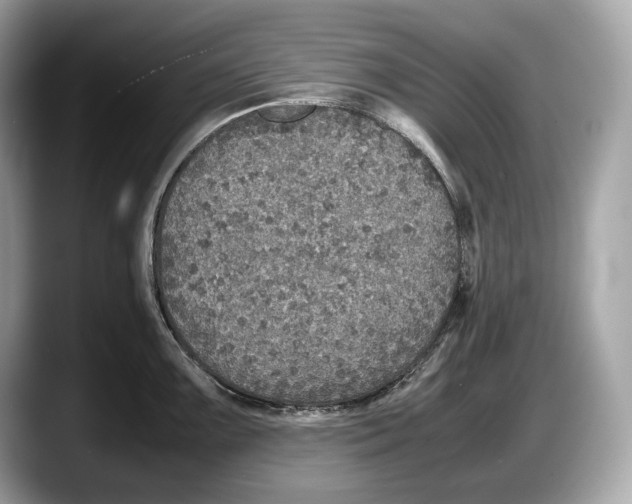 X0000087641099200705311322