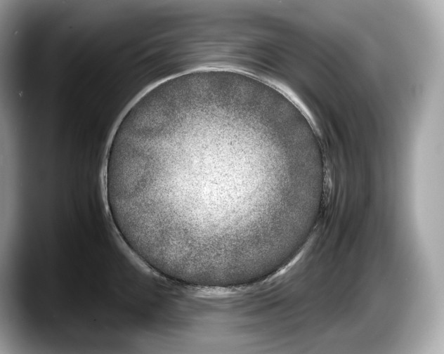 X0000087641100200705311322