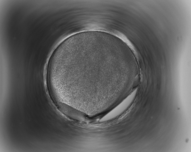 X0000087641102200705311322