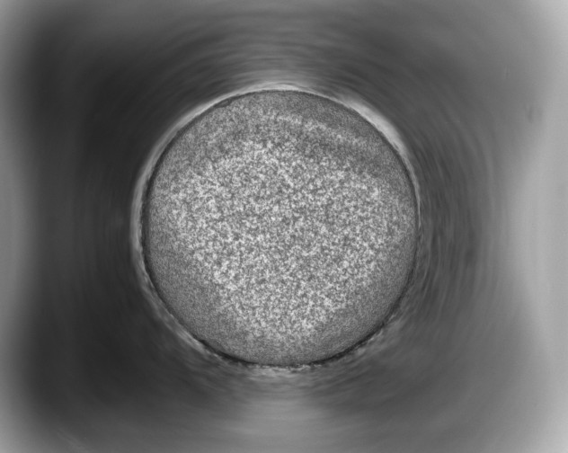 X0000087641104200705311322