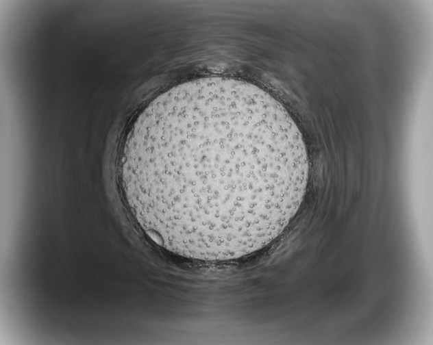 X0000087641105200705311321