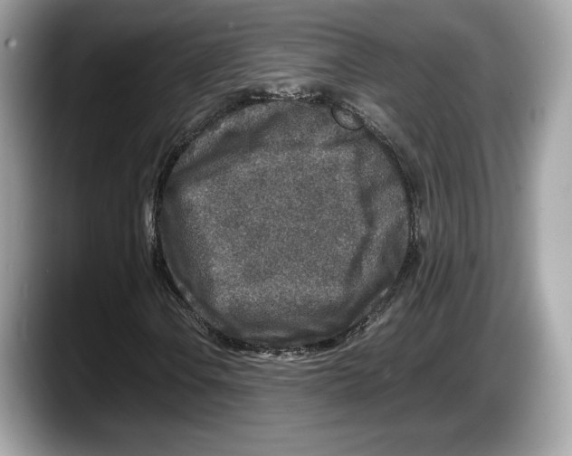 X0000087641106200705311321