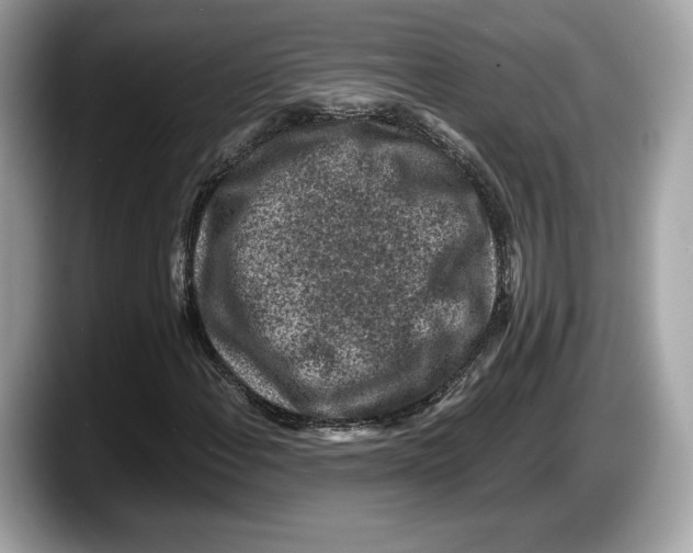 X0000087641108200705311321