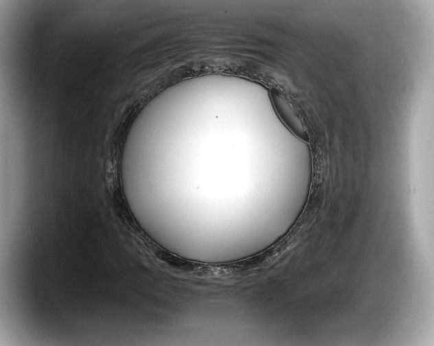 X0000087641109200705311321