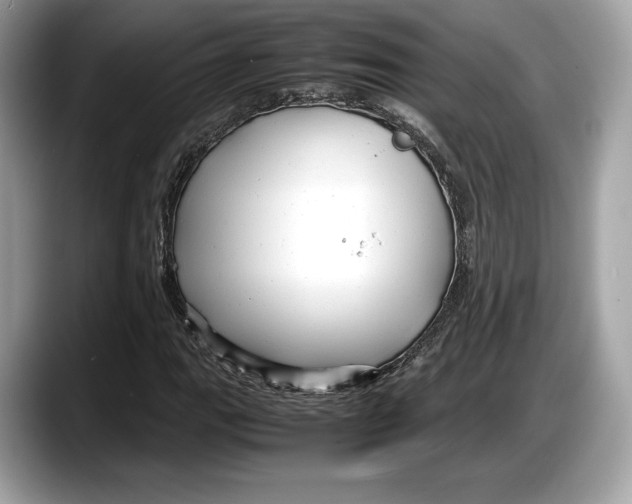 X0000087641111200705311321