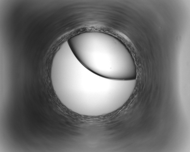 X0000087641112200705311321